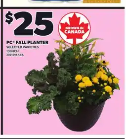 Loblaws PC FALL PLANTER, 13 INCH offer