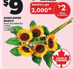 Loblaws SUNFLOWER BUNCH offer