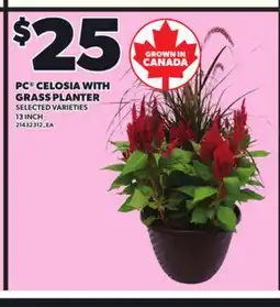 Loblaws PC CELOSIA WITH GRASS PLANTER, 13 INCH offer
