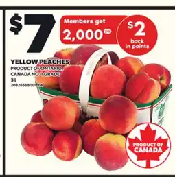 Loblaws YELLOW PEACHES, 3 L offer