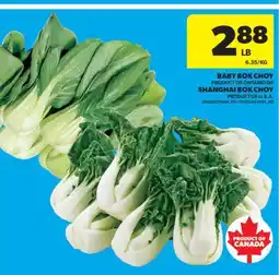 Real Canadian Superstore BABY BOK CHOY, SHANGHAI BOK CHOY offer