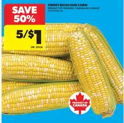 Real Canadian Superstore SWEET BICOLOUR CORN offer