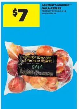 Real Canadian Superstore FARMER'S MARKET GALA APPLES, 4 LB offer
