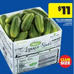 Real Canadian Superstore DILL CUCUMBERS, 1/4 BUSHEL offer