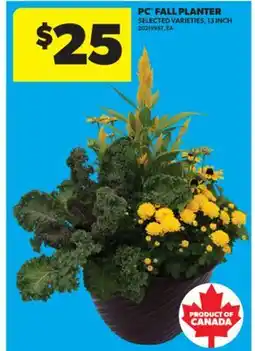 Real Canadian Superstore PC FALL PLANTER, 13 INCH offer