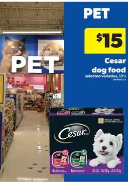 Real Canadian Superstore CESAR DOG FOOD, 12' S offer