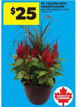 Real Canadian Superstore PC CELOSIA WITH GRASS PLANTER, 13 INCH offer