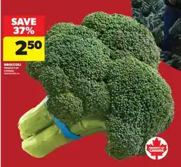 Real Canadian Superstore BROCCOLI offer