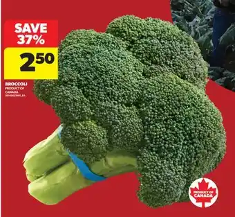 Real Canadian Superstore BROCCOLI offer