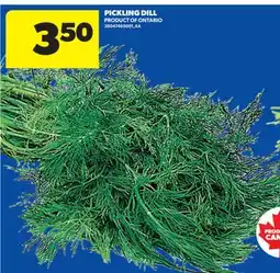Real Canadian Superstore PICKLING DILL offer