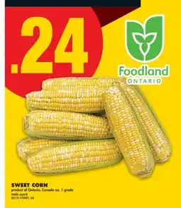 No Frills SWEET CORN offer