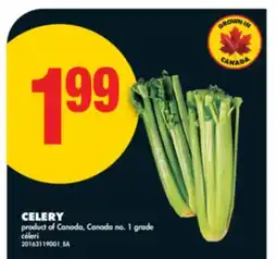 No Frills CELERY offer