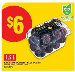 No Frills FARMER'S MARKET BLUE PLUMS offer