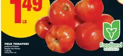 No Frills FIELD TOMATOES offer