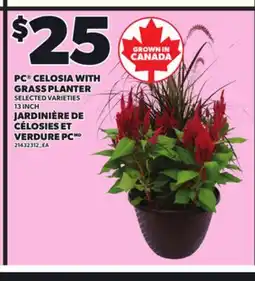 Independent Grocer PC CELOSIA WITH GRASS PLANTER, 13 INCH offer