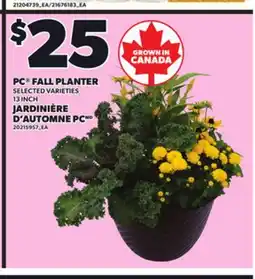 Independent Grocer PC FALL PLANTER, 13 INCH offer