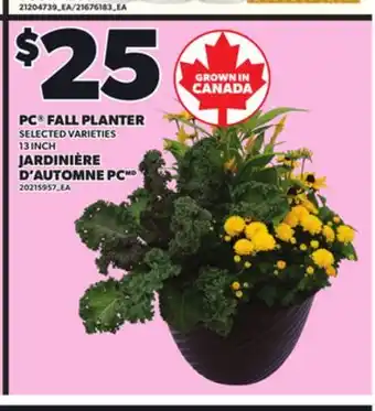 Independent Grocer PC FALL PLANTER, 13 INCH offer