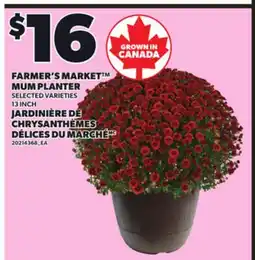 Independent Grocer FARMER'S MARKET MUM PLANTER, 13 INCH offer