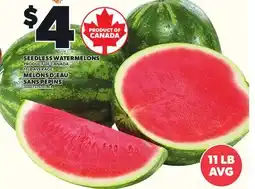 Independent Grocer SEEDLESS WATERMELONS, 11 LB AVERAGE offer