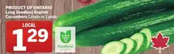 Foodland Long Seedless English Cucumbers Canada no 1 grade offer