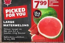 Foodland LARGE WATERMELONS offer