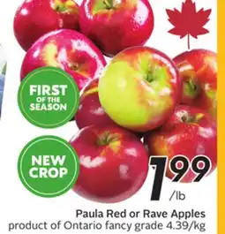 Sobeys Paula Red or Rave Apples offer