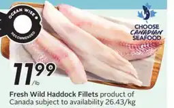 Sobeys Fresh Wild Haddock Fillets offer