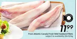 Sobeys From Atlantic Canada Fresh Wild Haddock Fillets offer