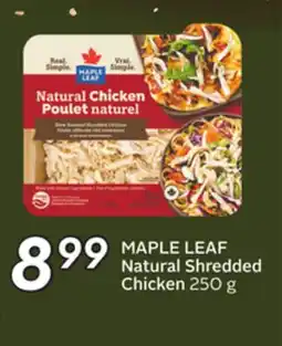 Sobeys MAPLE LEAF Natural Shredded Chicken offer