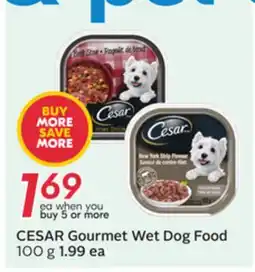 Sobeys CESAR Gourmet Wet Dog Food offer