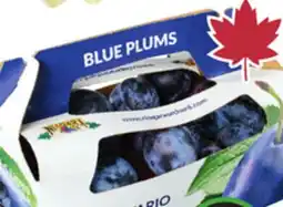 Sobeys Blue Plums offer