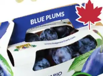 Sobeys Blue Plums offer