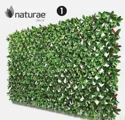 Canadian Tire Naturae Expandable Trellis offer