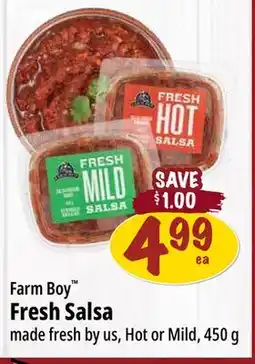 Farm Boy Farm Boy Fresh Salsa offer