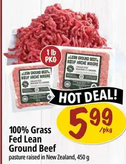 Farm Boy 100% Grass Fed Lean Ground Beef offer