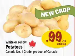 Farm Boy White or Yellow Potatoes offer