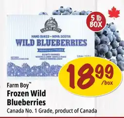 Farm Boy Farm Boy Frozen Wild Blueberries offer