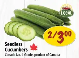 Farm Boy Seedless Cucumbers offer