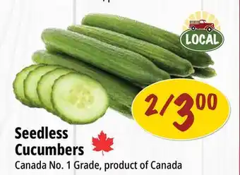 Farm Boy Seedless Cucumbers offer