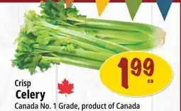 Farm Boy Crisp Celery offer