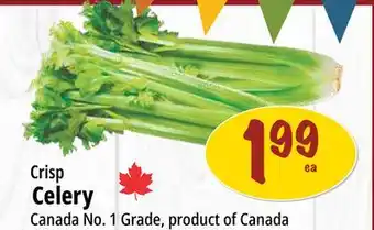 Farm Boy Crisp Celery offer