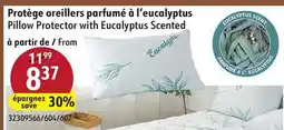 Sushi Shop Pillow Protector with Eucalyptus Scented offer