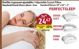 Sushi Shop Adjustable Gusset Pillow offer