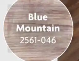 Home Hardware Loose Lay Vinyl Plank Flooring offer