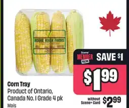 FreshCo Corn Tray Product of Ontario, Canada No. 1 Grade 4 pk offer