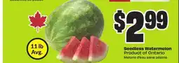 FreshCo Seedless Watermelon Product of Ontario offer