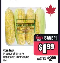 Chalo FreshCo Corn Tray Product of Ontario, Canada No. 1 Grade 4 pk offer