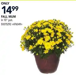 RONA FALL MUM offer