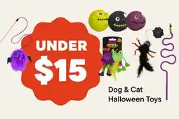 Petvalu Dog & Cat Halloween Toys offer