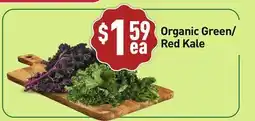 Healthy Planet Organic Green/Red Kale offer